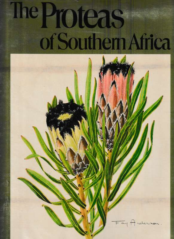 THE PROTEAS OF SOUTHERN AFRICA
