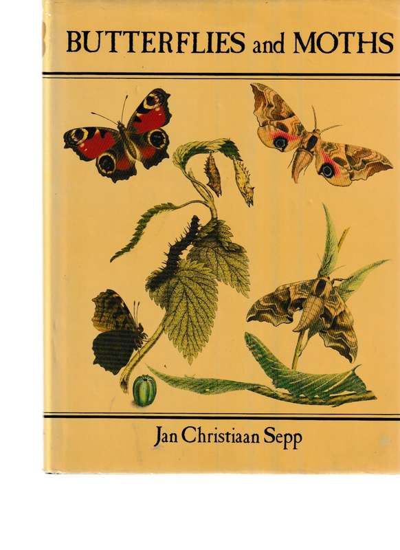 BUTTERFLIES AND MOTHS