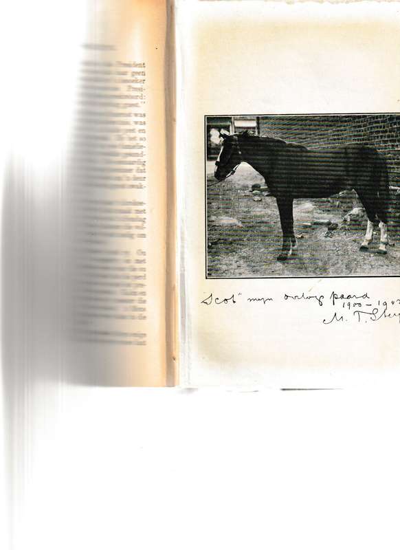 MARTHINUS THEUNIS STEYN DEEL 2