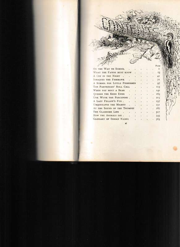 PRETORIA HIGHSCHOOL FOR GIRLS: SCHOOL OF THE WOODS by WILLIAM J LONG