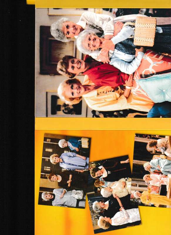 THE GOLDEN GIRLS THE COMPLETE FIRST SERIES 4 DISC DVD BOX SET