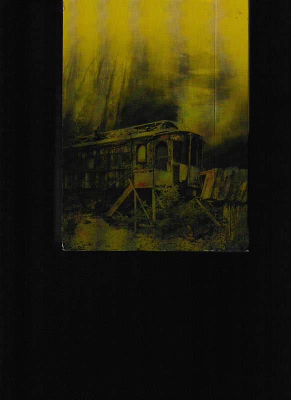 TWIN PEAKS DEFINITIVE GOLD BOX EDITION 10 DVD DISCS
