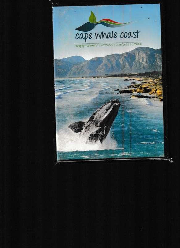 CAPE WHALE COAST DVD (NEW)