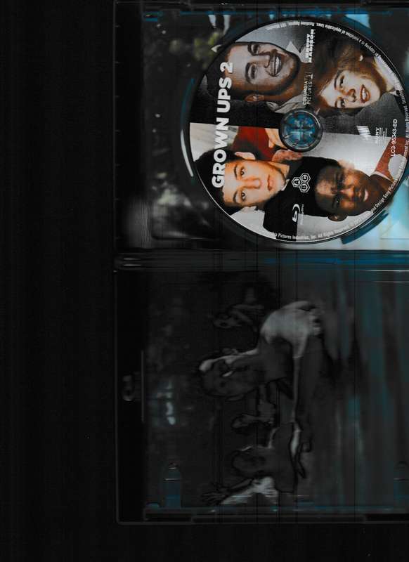 GROWN UPS 2 BLU RAY
