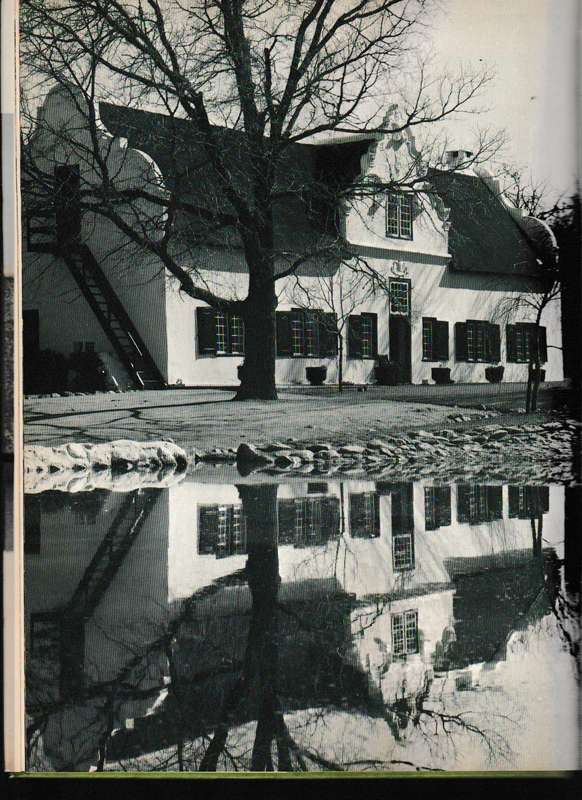 STELLENBOSCH by ALICE MERTENCE