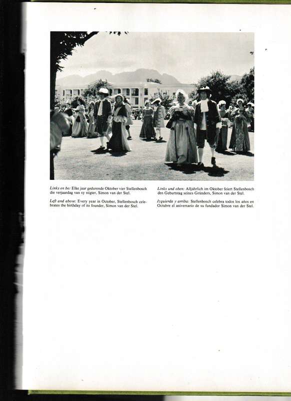 STELLENBOSCH by ALICE MERTENCE