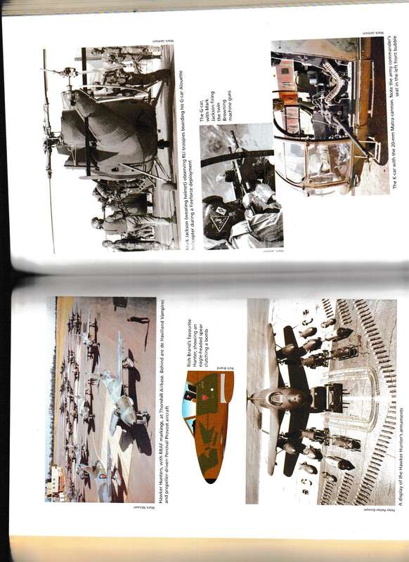DINGO FIRESTORM: THE GREATEST BATTLE OF THE RHODESIAN BUSH WAR