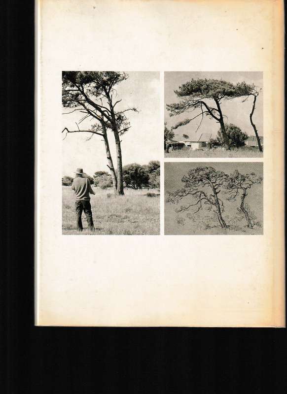 GREGOIRE BOONZAIER - BOOMSTUDIES