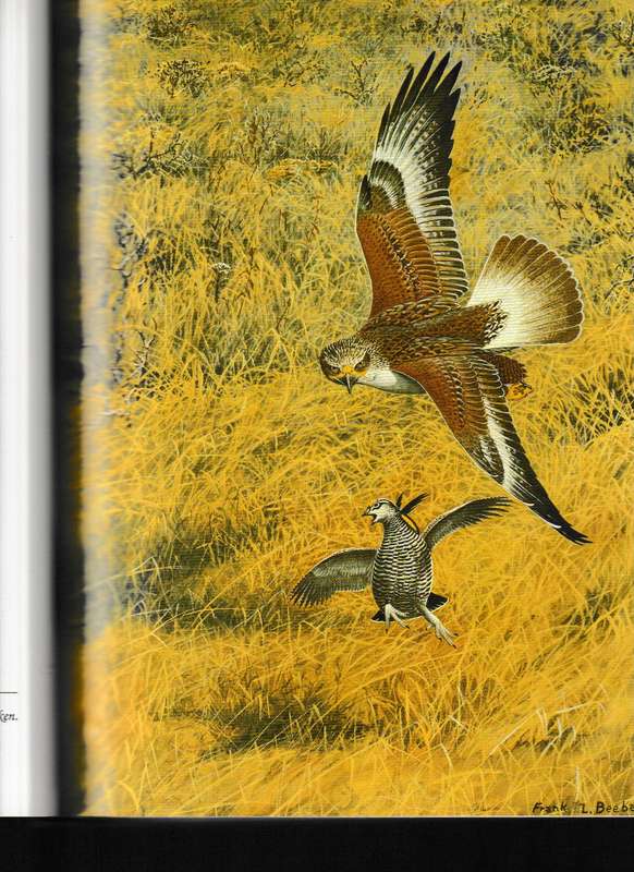 THE COMPLETE FALCONER