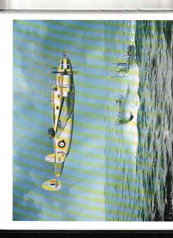 A PORTRAIT OF MILITARY AVIATION IN SOUTH AFRICA by RON BELLING