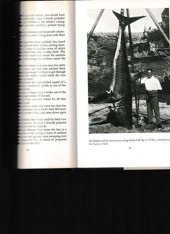 VILLAGE OF THE SEAS, THE STORY OF HERMANUS
