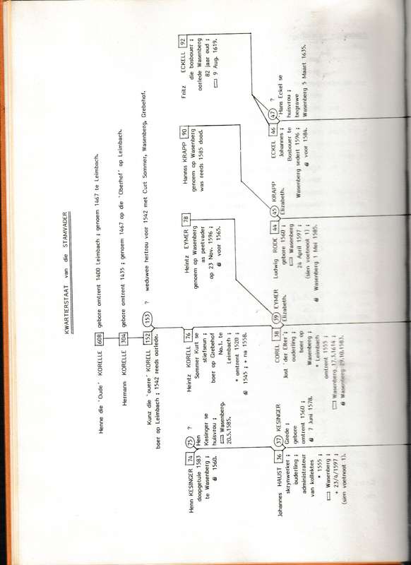 EEN FAMILIE, STEYNBERG, STEENBERG, STEINBERG deur LIESELORE STEYNBERG