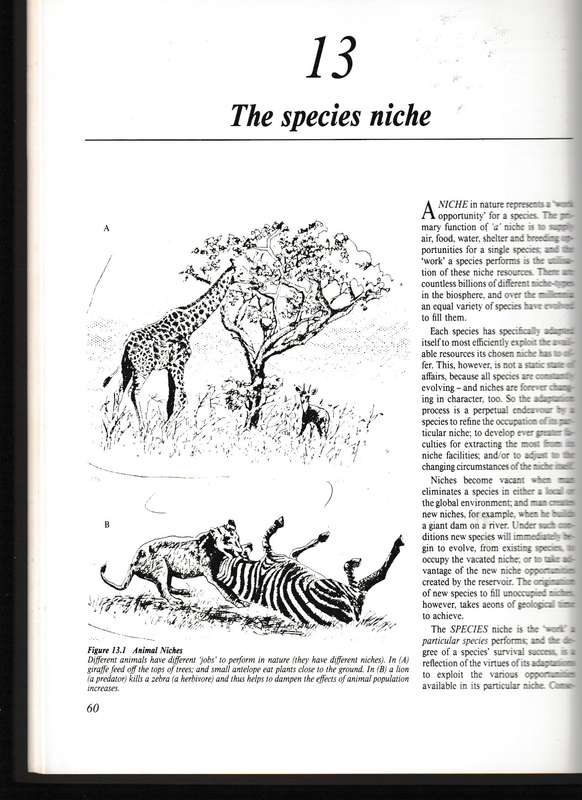 THE WILDLIFE GAME by RON THOMSON * SIGNED *