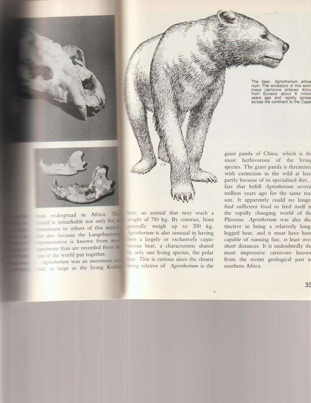 LANGEBAANWEG, A RECORD OF PAST LIFE