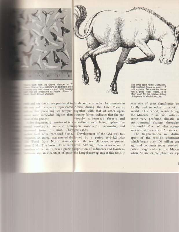 LANGEBAANWEG, A RECORD OF PAST LIFE