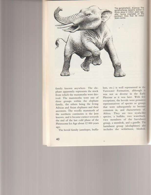 LANGEBAANWEG, A RECORD OF PAST LIFE