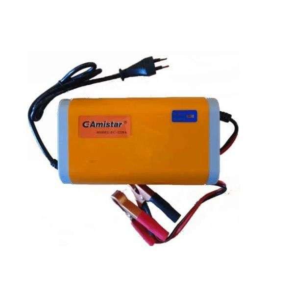 12v 20A Intelligent Pulse Charger