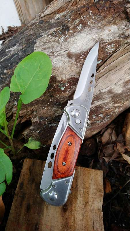 double blade pocket knife