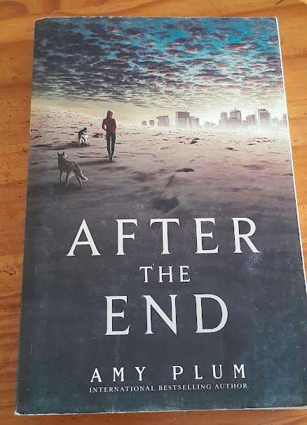 After the End-Amy Plum