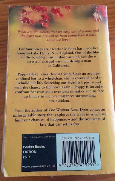 An Accidental Woman-Barbara Delinsky