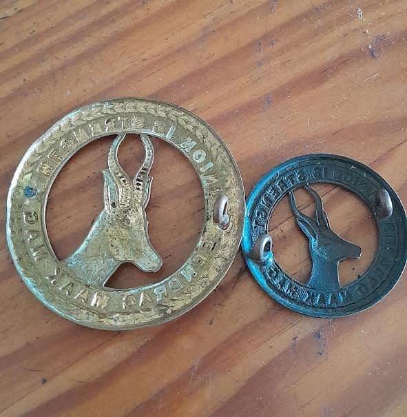 1st SA Infantry Badges