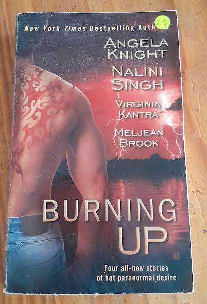 Burning Up-Various Authors