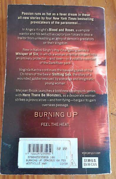 Burning Up-Various Authors