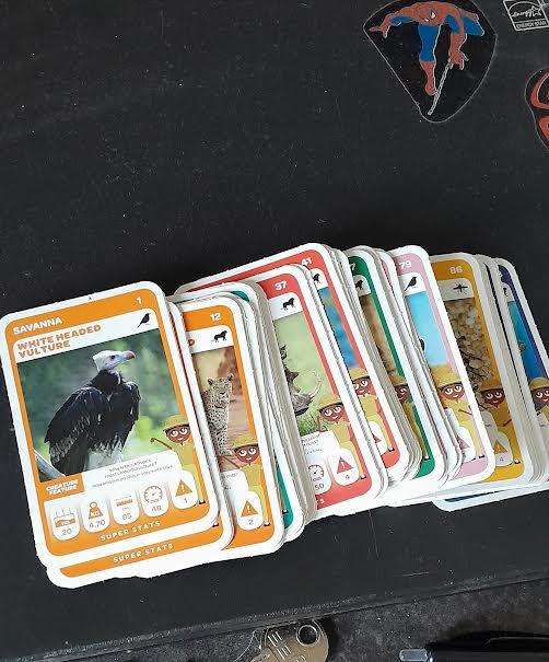 South African Super Animals(60 cards)