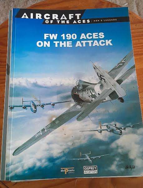 FW 190 Aces on the Attack