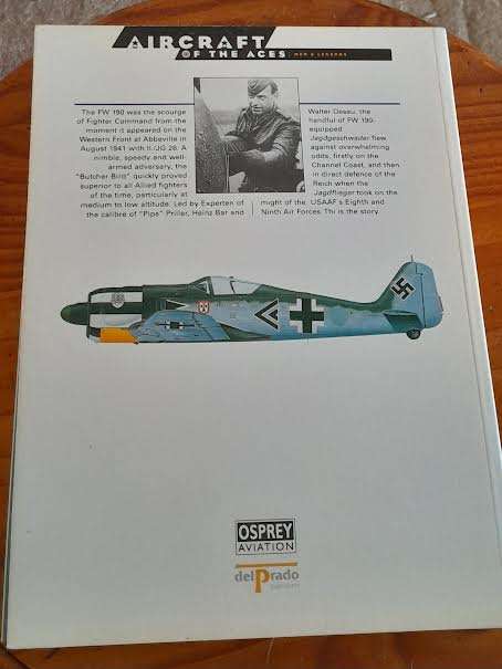 FW 190 Aces on the Attack