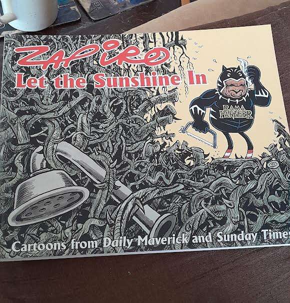 Let the sunshine in-Zapiro