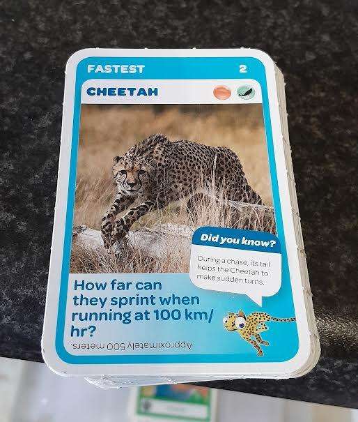 Super Animals cards(54)