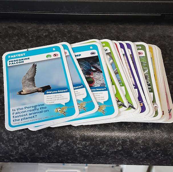 Super Animals cards(23) Swaps