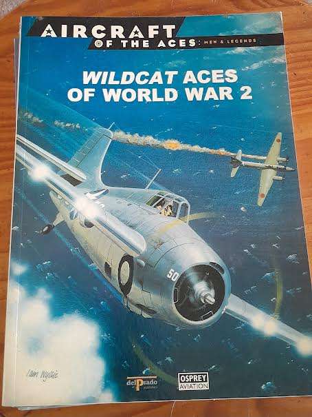 Wildcat Aces of World War 2