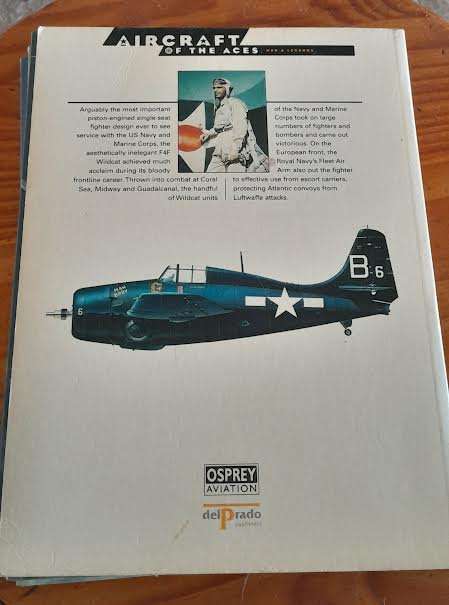 Wildcat Aces of World War 2