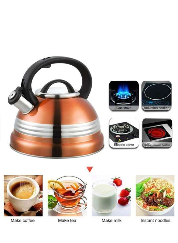 Stove Top Whistling Kettle - 3L (copper and red)