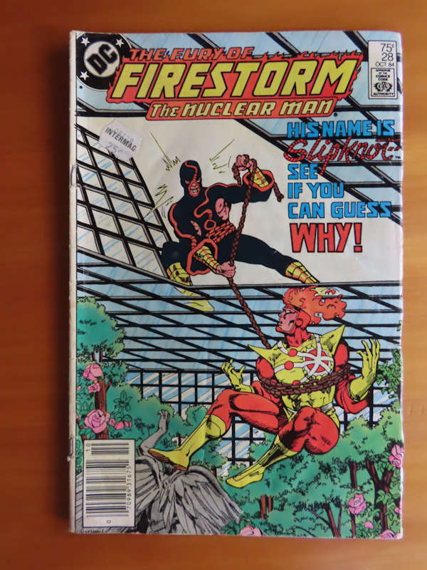 Comics- 2 Firestorm and 2 Advanced Dragons and Dungeons