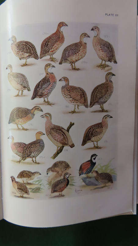 Roberts - Birds 0f South Africa - Hardback with Cover