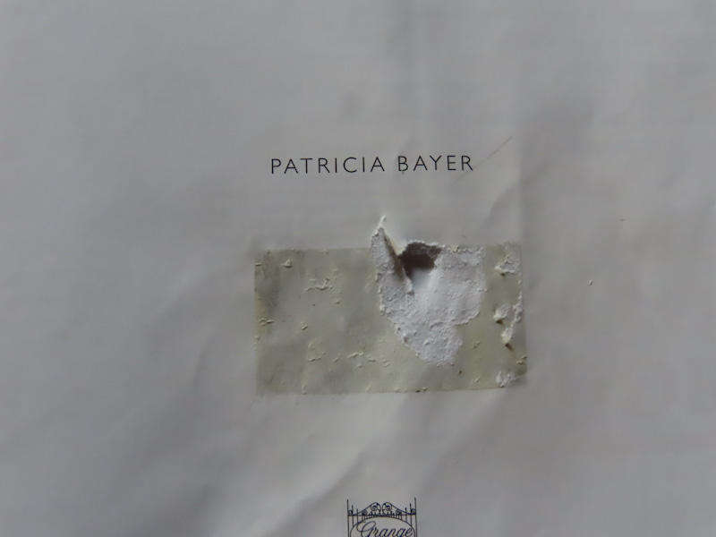 Art Deco - Source Book - Patricia Bayer