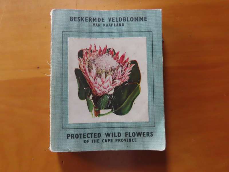 Books - Protected Wild Flowers of The Cape Province - 1958 1st Edition