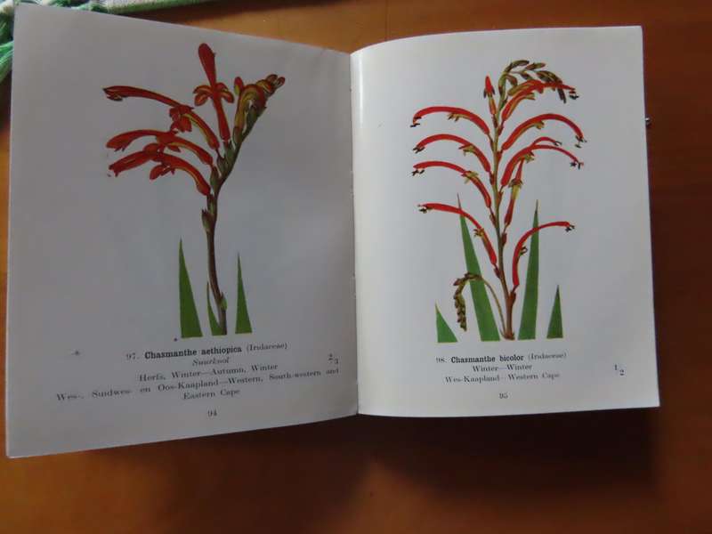 Books - Protected Wild Flowers of The Cape Province - 1958 1st Edition