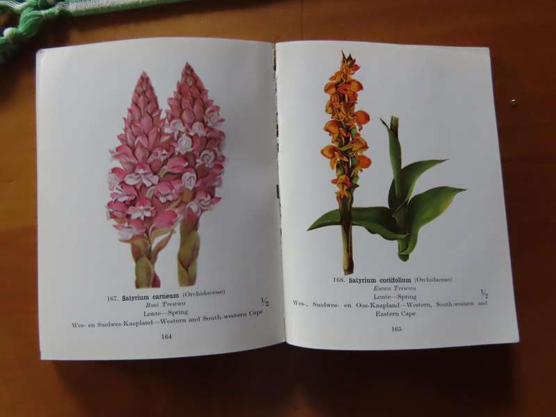 Books - Protected Wild Flowers of The Cape Province - 1958 1st Edition
