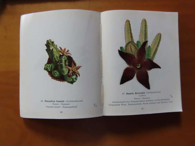 Books - Protected Wild Flowers of The Cape Province - 1958 1st Edition