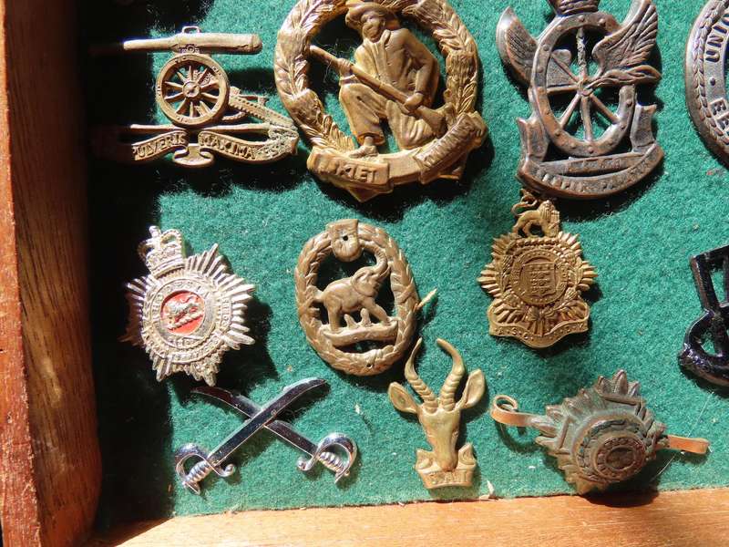 Militaria - Job lot Badges minus lugs