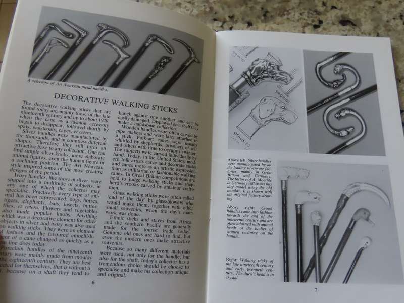Walking Sticks - Catherine Dike - Shire Album 256