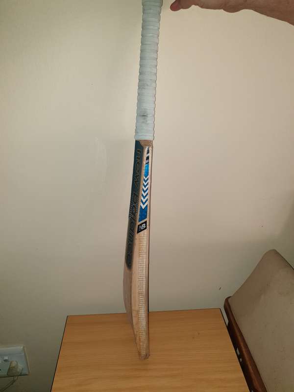 Cricket bat