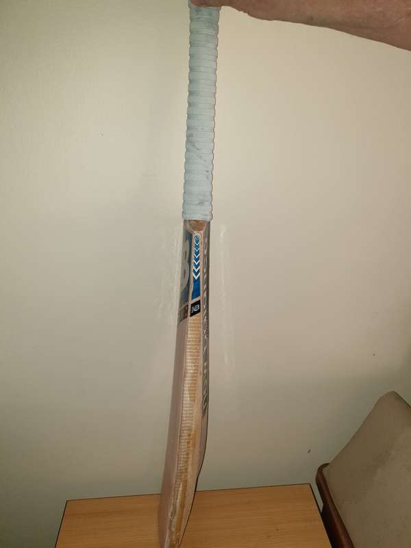 Cricket bat