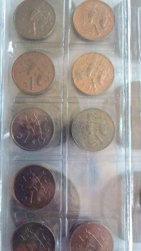 Various Old South african Coins in a File