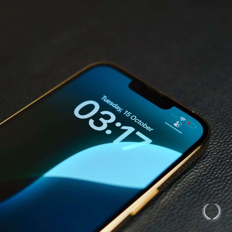 iPhone 13 Pro Max