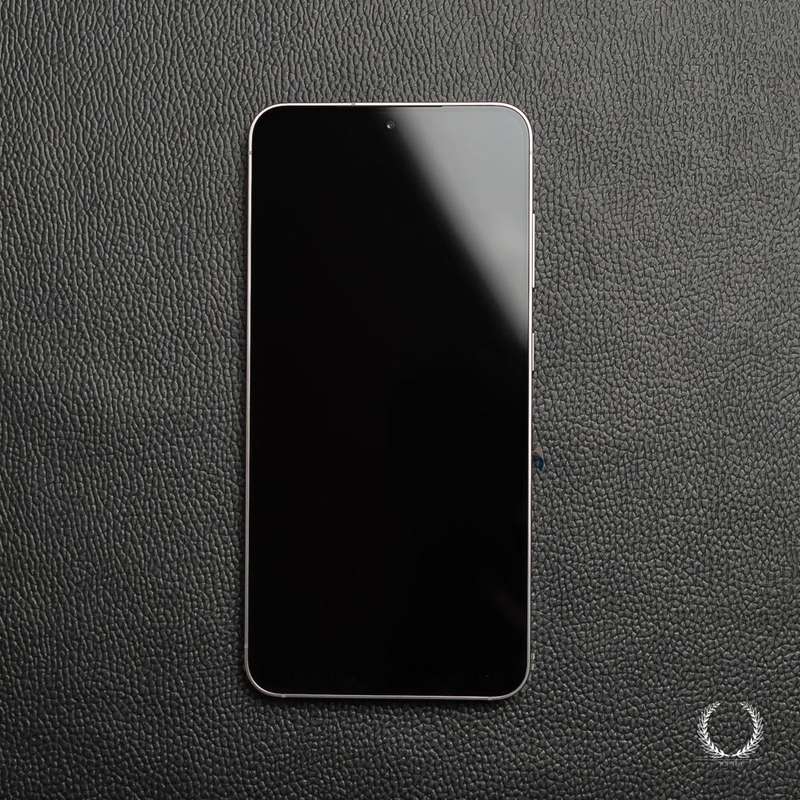Samsung S25